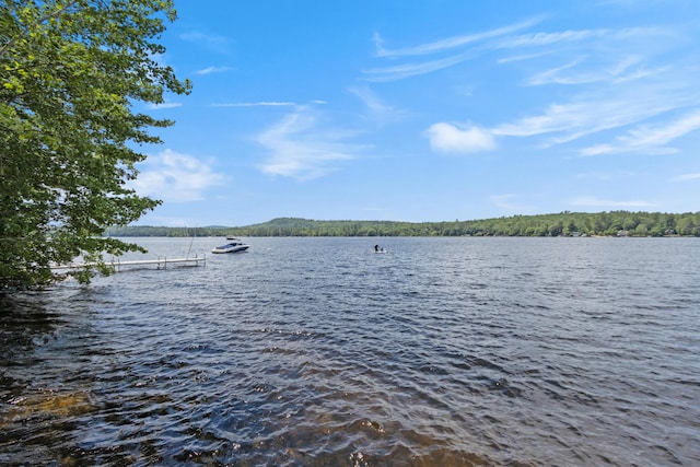 397 Cape Monday Rd, Harrison, ME 04040 - photo 100