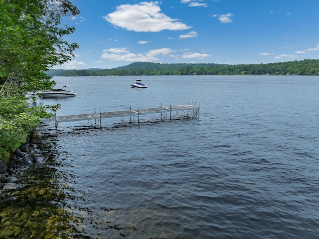 397 Cape Monday Rd, Harrison, ME 04040 - photo 117
