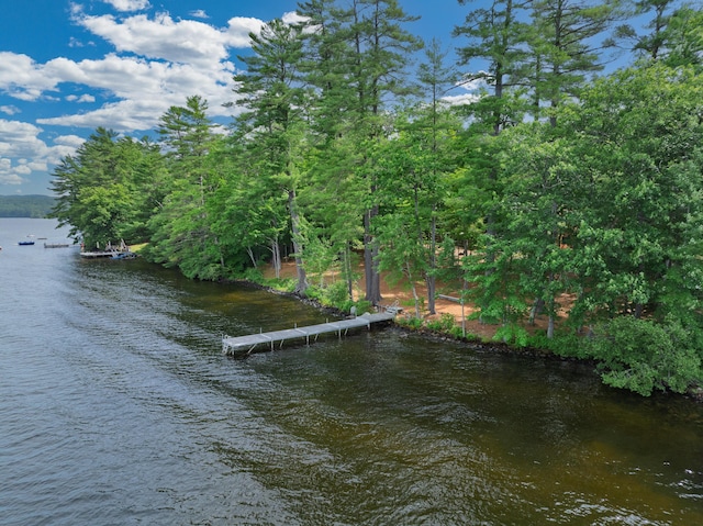 397 Cape Monday Rd, Harrison, ME 04040 - photo 118
