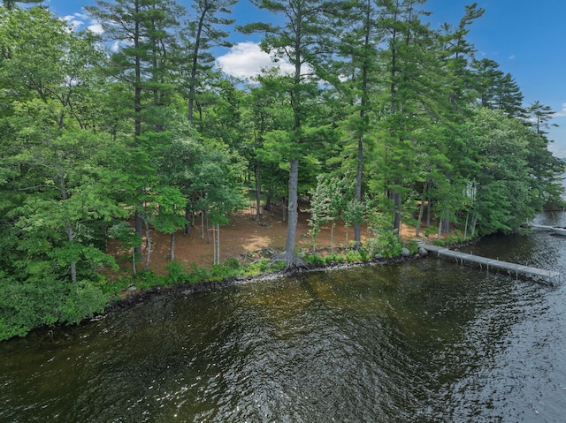 397 Cape Monday Rd, Harrison, ME 04040 - photo 119