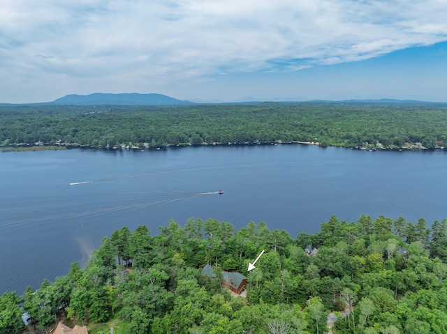 397 Cape Monday Rd, Harrison, ME 04040 - photo 121