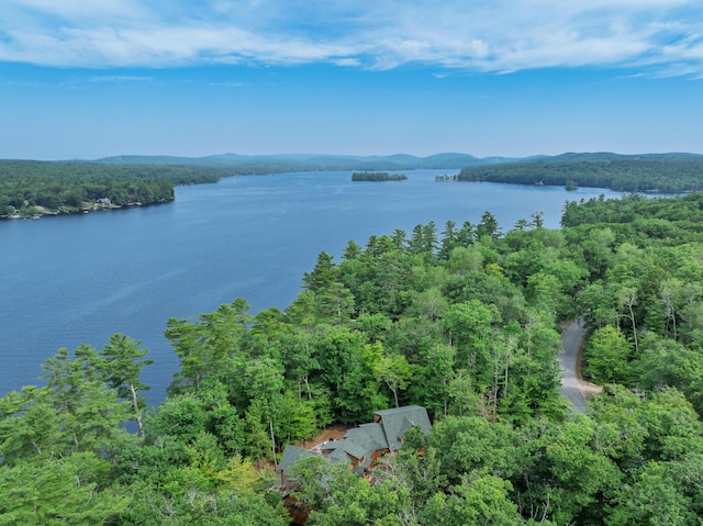 397 Cape Monday Rd, Harrison, ME 04040 - photo 122