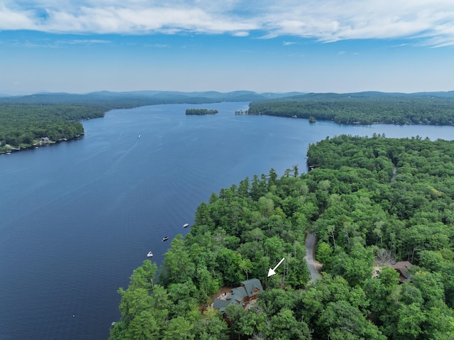 397 Cape Monday Rd, Harrison, ME 04040 - photo 104