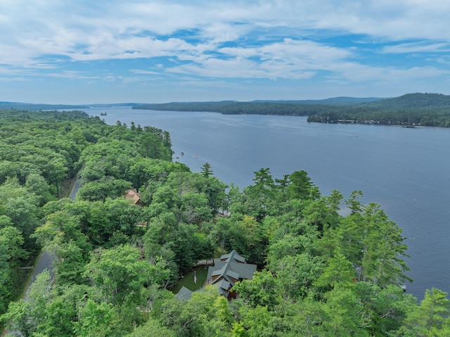 397 Cape Monday Rd, Harrison, ME 04040 - photo 123