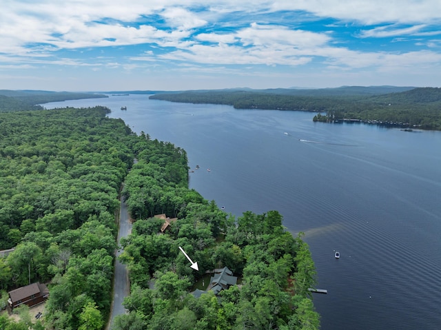 397 Cape Monday Rd, Harrison, ME 04040 - photo 102