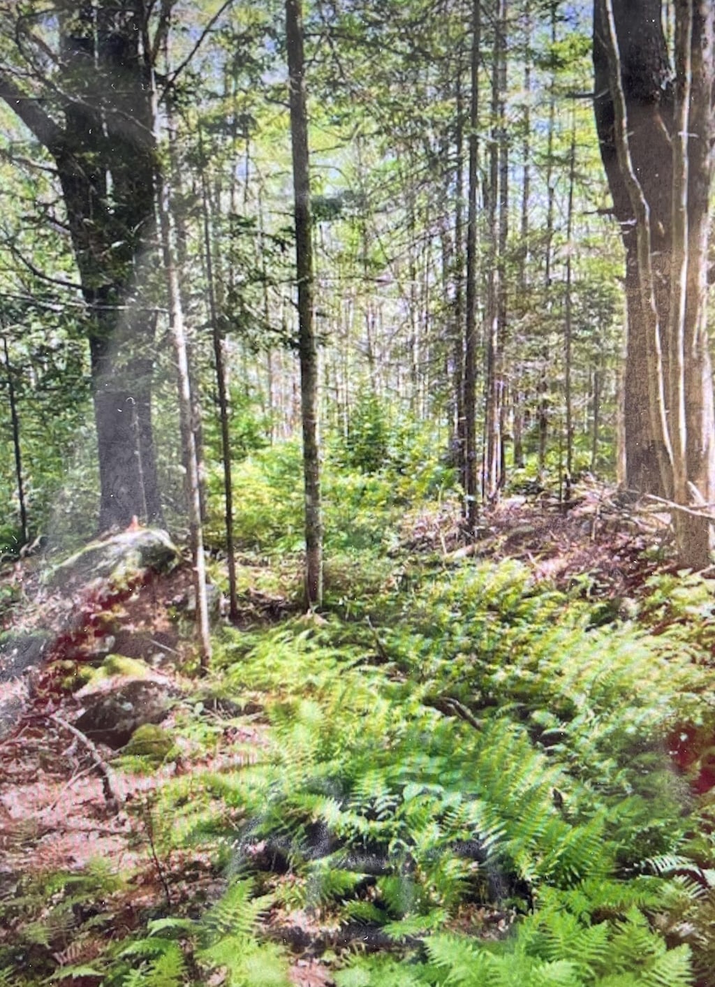 6 Stonewyck Ln, Damariscotta, ME 04543