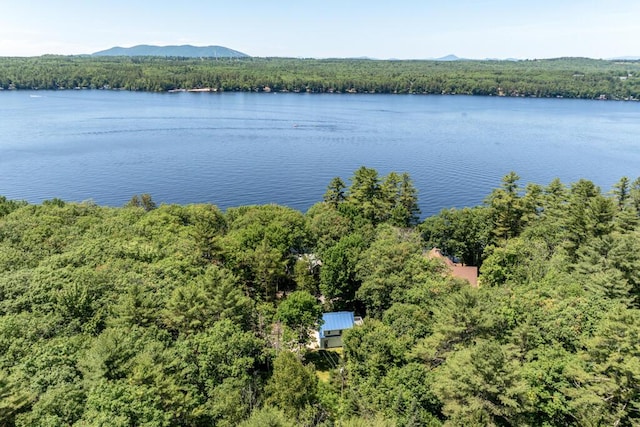 29 Shaughnessey Ln, Harrison, ME 04040 - photo 7