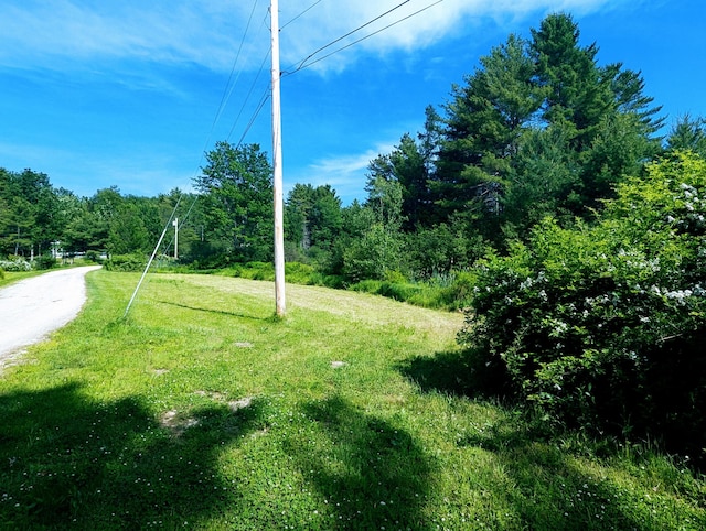 3 Ron Henry Ln, Freeport, ME 04032 - photo 10
