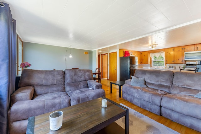 911 Spring St, Westbrook, ME 04092 - living room with light wood-style flooring