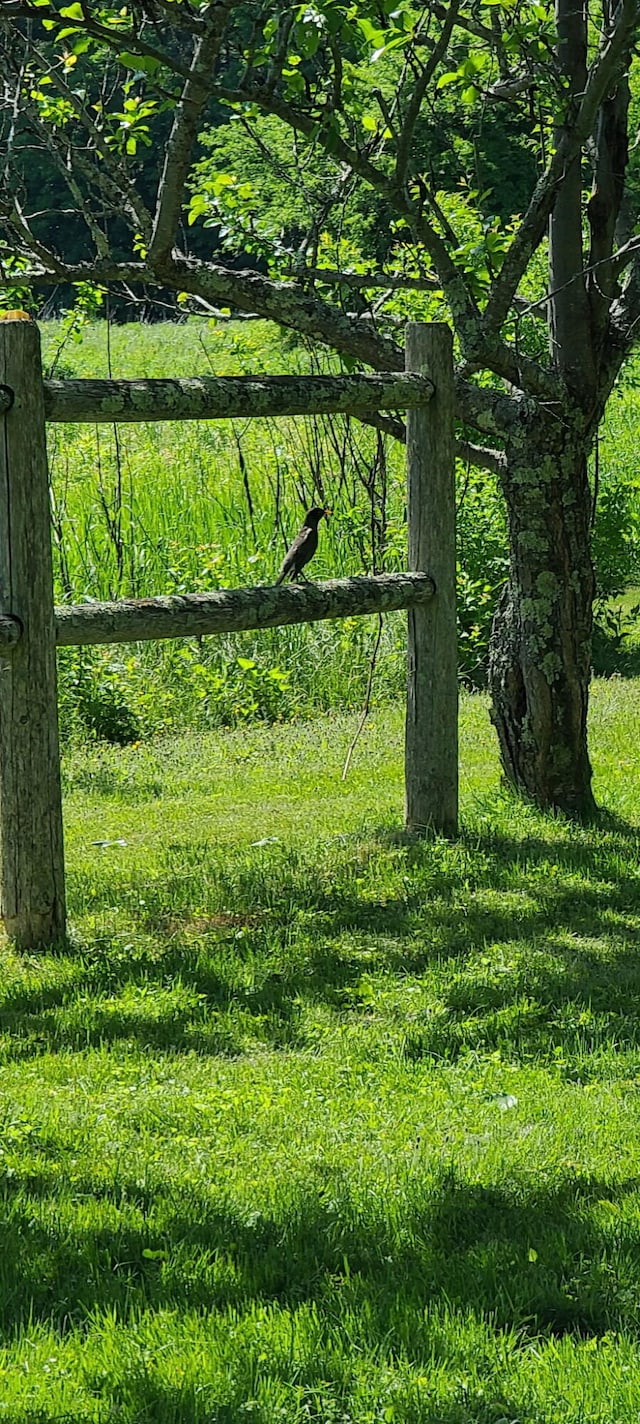 55 Ossipee Trl E, Standish, ME 04084 - gate featuring a lawn