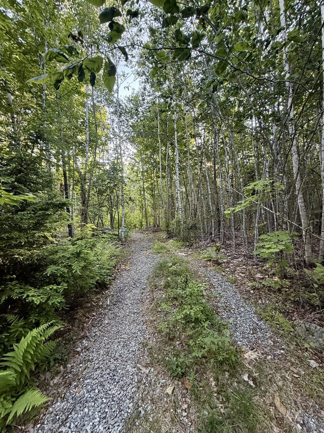 500 Cosgrove Dr, Otis, ME 04605 - photo 3