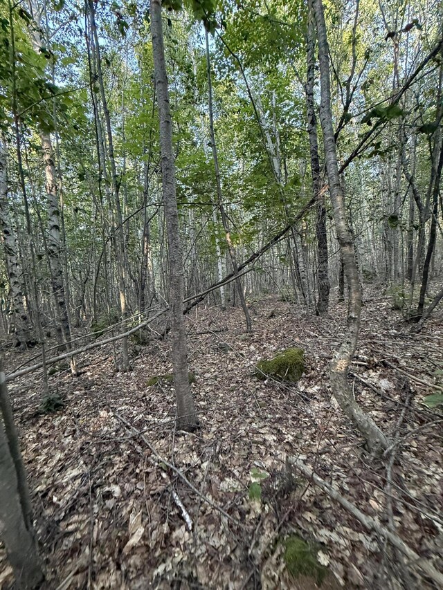 500 Cosgrove Dr, Otis, ME 04605 - photo 13