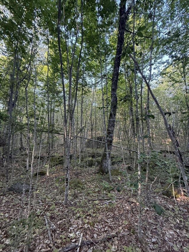 500 Cosgrove Dr, Otis, ME 04605 - photo 15