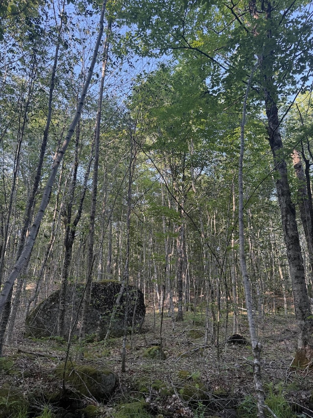 500 Cosgrove Dr, Otis, ME 04605 - photo 19