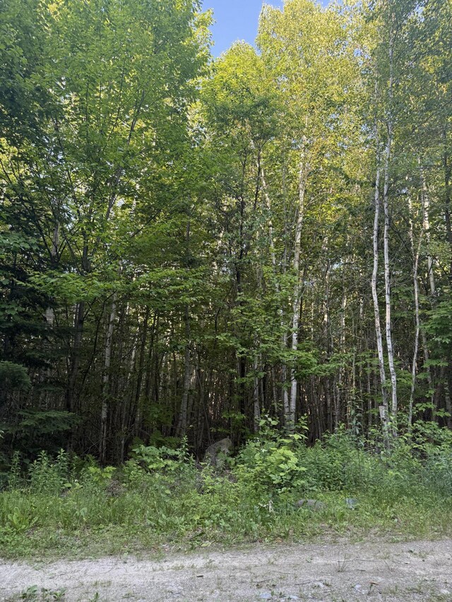 500 Cosgrove Dr, Otis, ME 04605 - photo 22