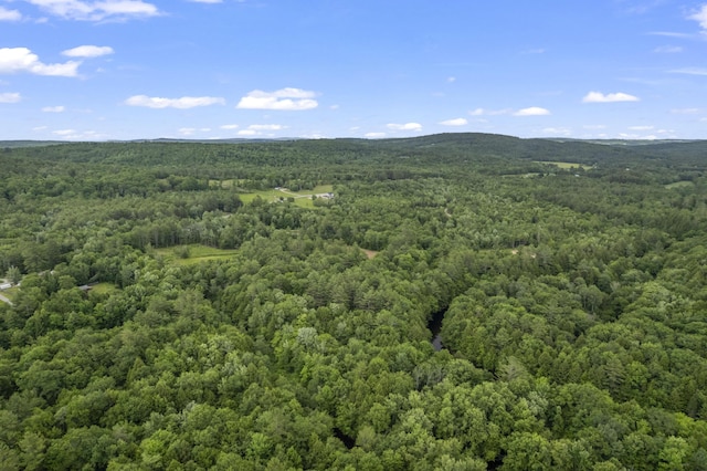 8-3 Turner St, Buckfield, ME 04220