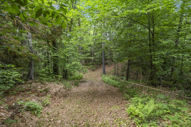 8-3 Turner St, Buckfield, ME 04220