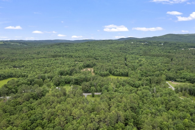8-3 Turner St, Buckfield, ME 04220
