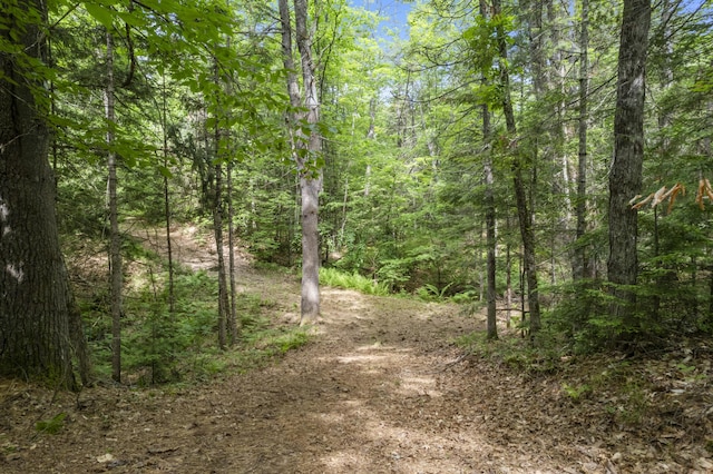8-3 Turner St, Buckfield, ME 04220