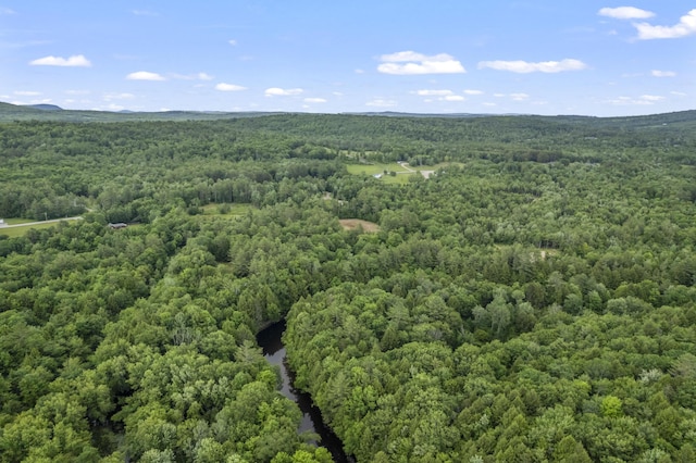 8-3 Turner St, Buckfield, ME 04220
