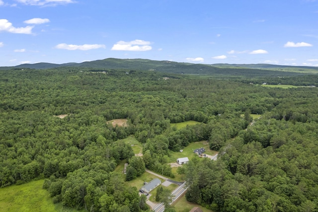 8-3 Turner St, Buckfield, ME 04220
