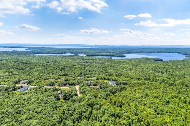 2 Summit Ln, Raymond, ME 04071 - drone / aerial view of a large body of water