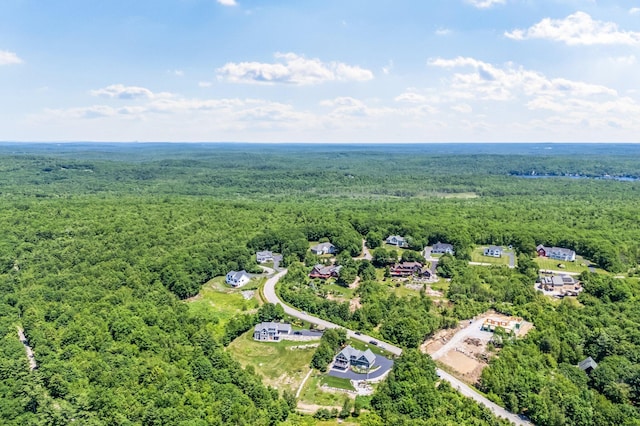 2 Summit Ln, Raymond, ME 04071 - aerial view of a forest