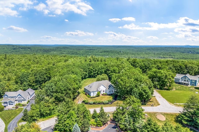 2 Summit Ln, Raymond, ME 04071 - bird's eye view of a forest
