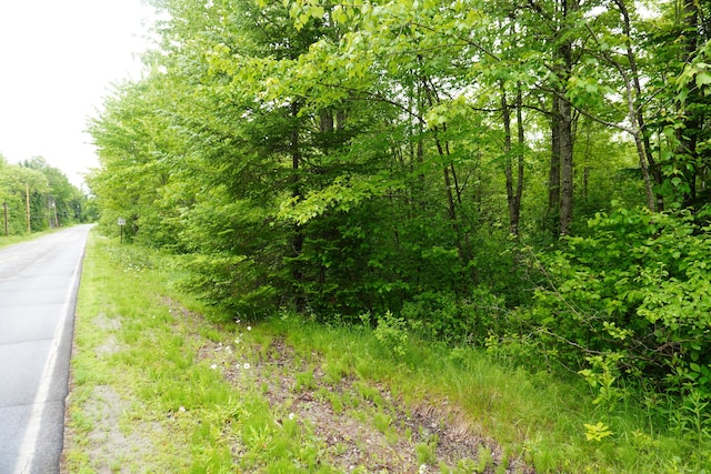 LOT31 Edinburg Rd, Argyle Twp, ME 04468