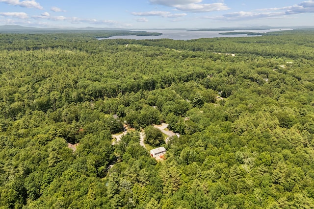 24 Maple Ridge Rd, Gorham, ME 04038 - drone / aerial view of a heavily wooded area