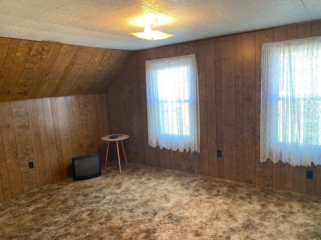 11 Wells St, Greenville, ME 04441 - photo 19