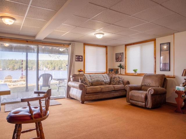 16 Hide Away Ln, Milton, NH 03851 - living area featuring a paneled ceiling and carpet floors