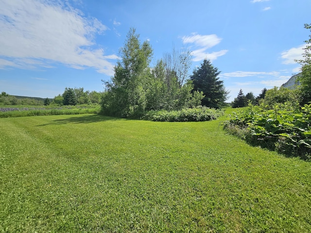 18 W Presque Isle Rd, Caribou, ME 04736 - photo 28