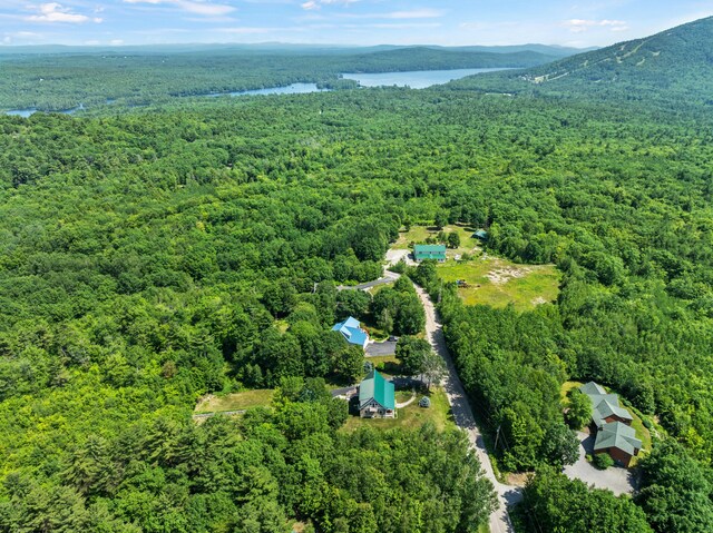 144 Kezar Hts, Bridgton, ME 04009 - photo 49