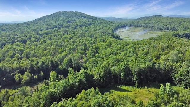 MAPR6LOT20 Lucas Dr, Hartford, ME 04220