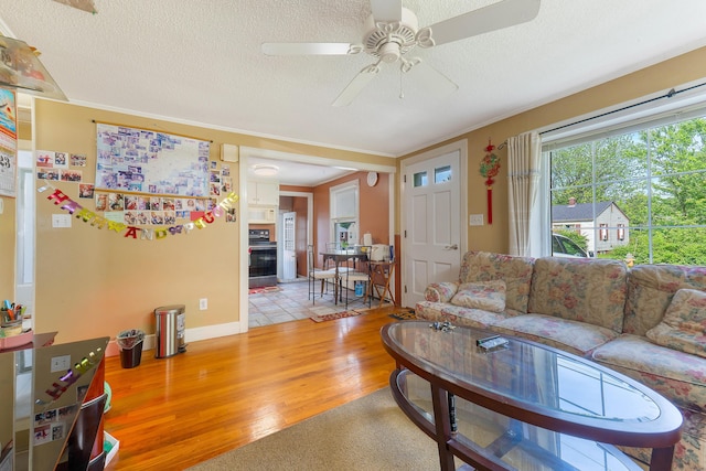 96 Holm Ave, Portland, ME 04102 - living area featuring light wood-type flooring, ceiling fan, a textured ceiling, a tile fireplace, and ornamental molding