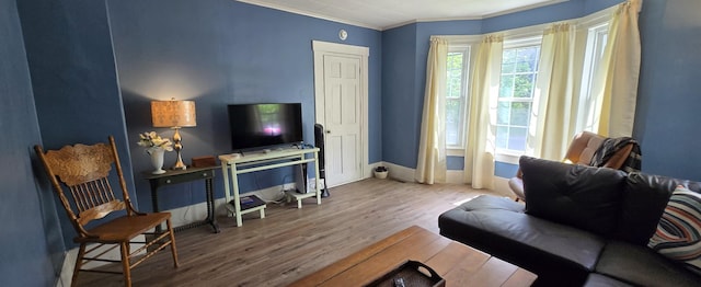 555 Depot St, Wilton, ME 04294 - living room featuring crown molding and wood finished floors