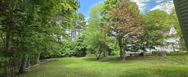555 Depot St, Wilton, ME 04294 - view of grassy yard
