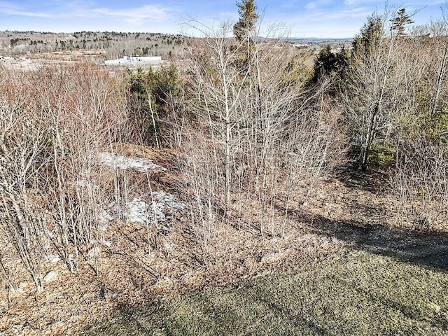 LOT4 Overlook Dr, Hallowell, ME 04347 - view of local wilderness