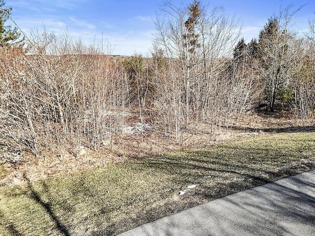 LOT4 Overlook Dr, Hallowell, ME 04347 - view of yard