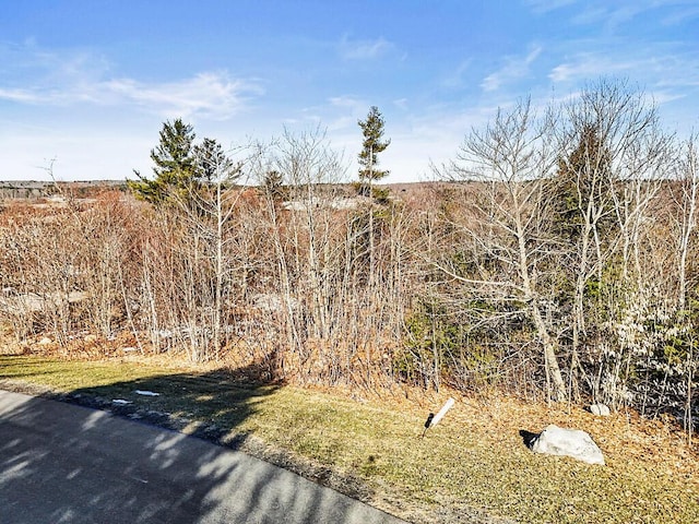 LOT4 Overlook Dr, Hallowell, ME 04347 - view of yard