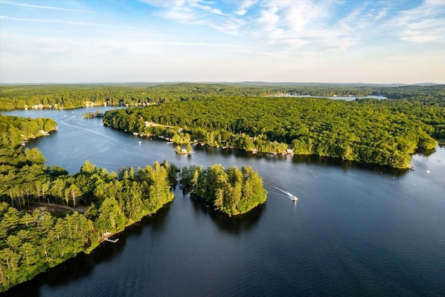 269 W Shore Rd, Waterboro, ME 04030 - photo 46