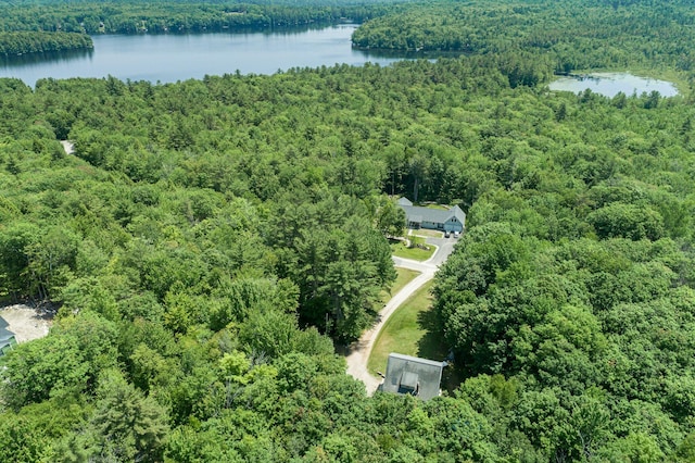64 Pond View Dr, Otisfield, ME 04270 - aerial view of a forest and a nearby body of water