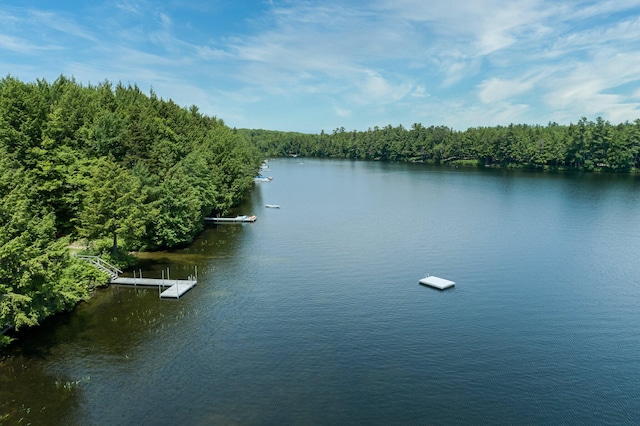 64 Pond View Dr, Otisfield, ME 04270 - water view featuring a floating dock and a heavily wooded area