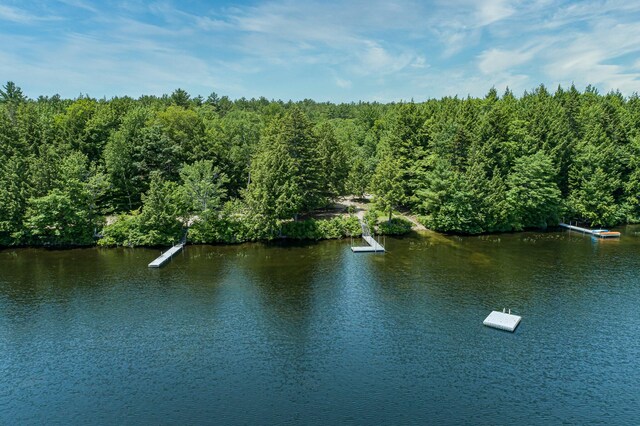 64 Pond View Dr, Otisfield, ME 04270 - water view with a forest