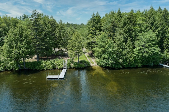 64 Pond View Dr, Otisfield, ME 04270 - water view with a floating dock