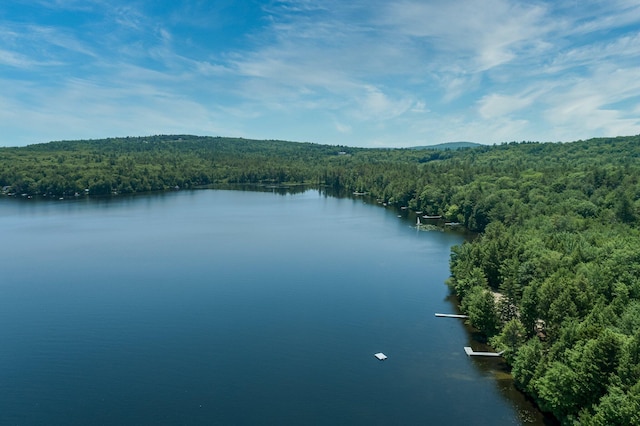64 Pond View Dr, Otisfield, ME 04270 - water view featuring a heavily wooded area