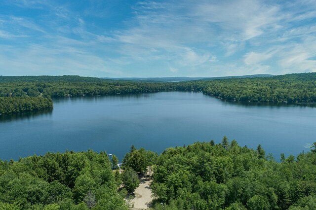 64 Pond View Dr, Otisfield, ME 04270 - water view with a forest