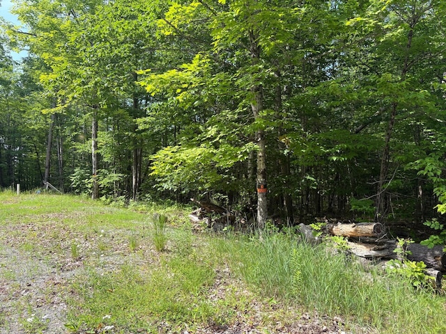560 Morrill Pond Rd, Hartland, ME 04943 - photo 3