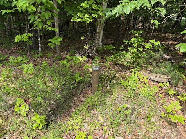 560 Morrill Pond Rd, Hartland, ME 04943 - photo 5